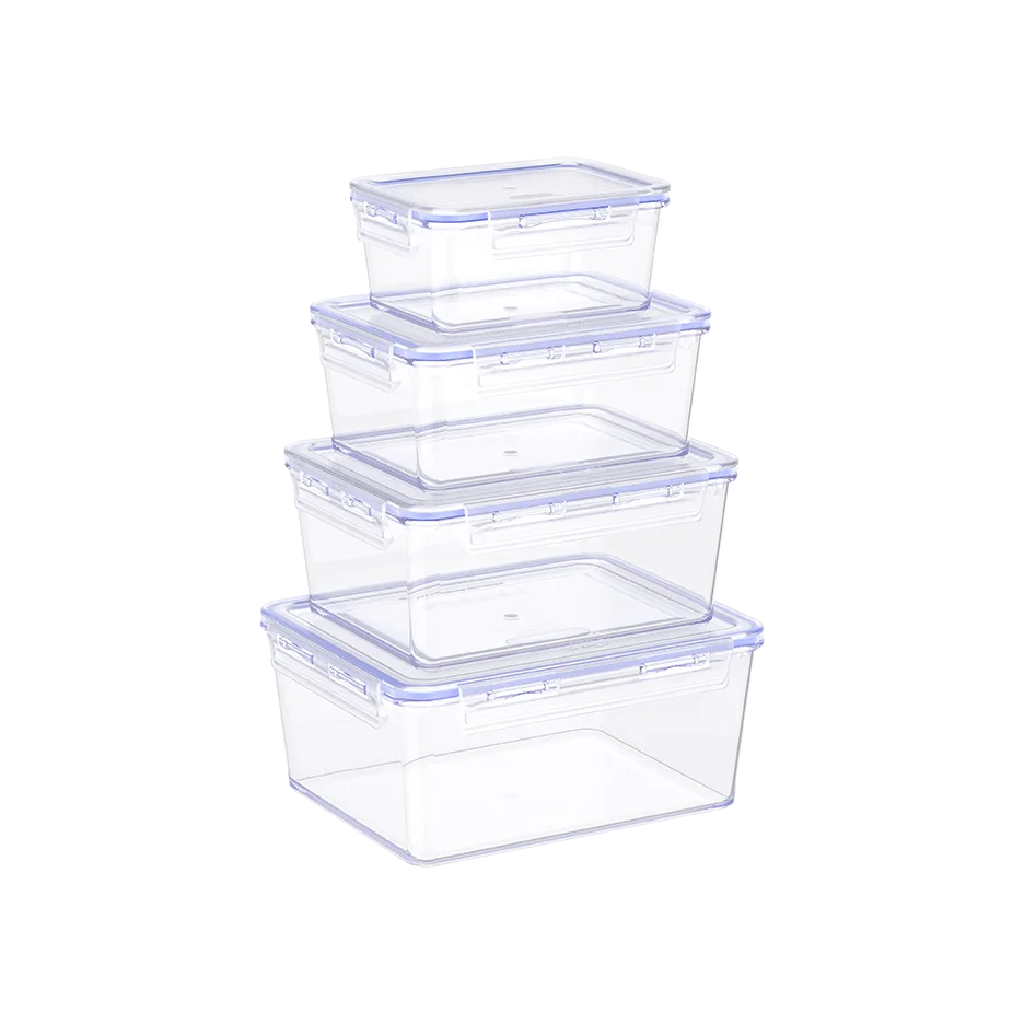 Lot de 4 boites alimentaires Lock2Go 300/600/900/1200 ml