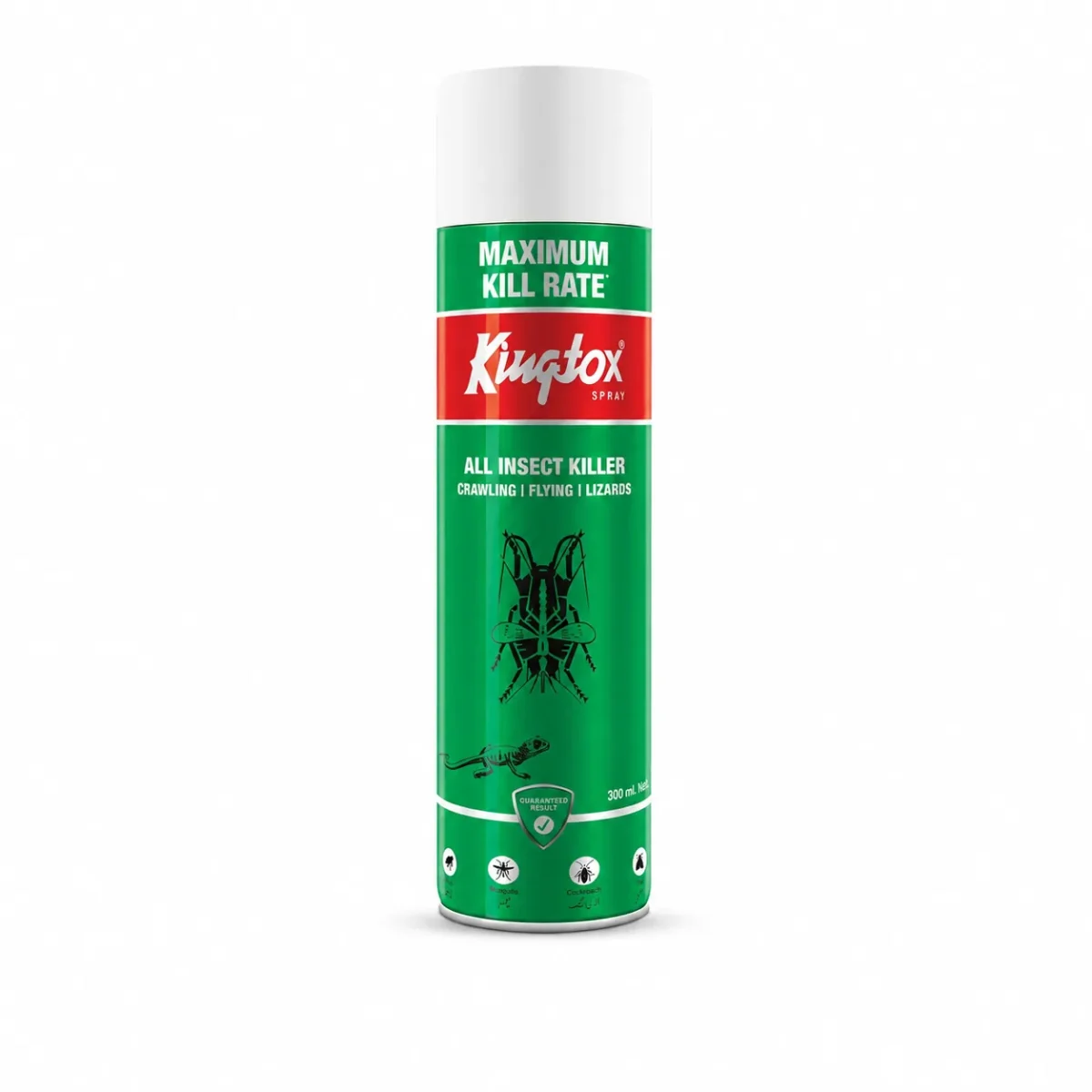 KINGTOX INSECTICIDE 300 ML x 24 PCS